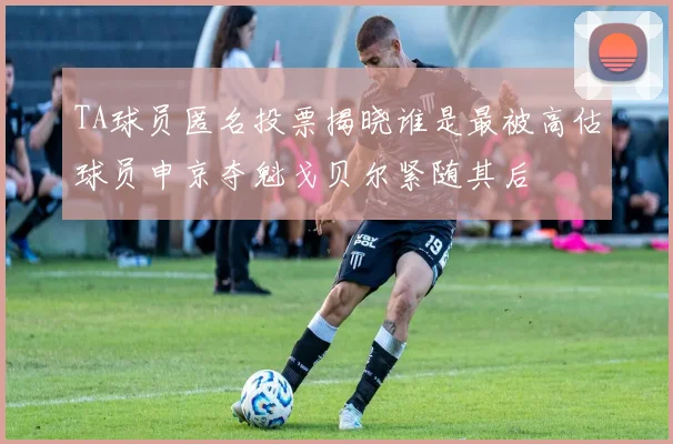 TA球员匿名投票揭晓谁是最被高估球员申京夺魁戈贝尔紧随其后